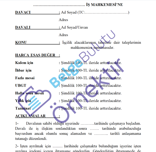 İŞÇİLİK ALACAKLARI DAVA DİLEKÇESİ